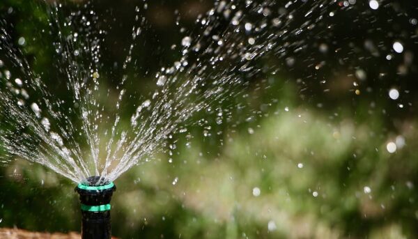 garden sprinkler garden sprinkler