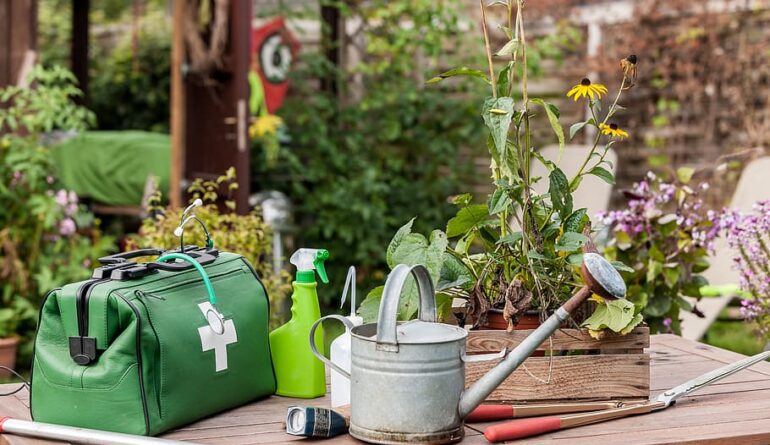 plant-doctor-plant-diseased-plants